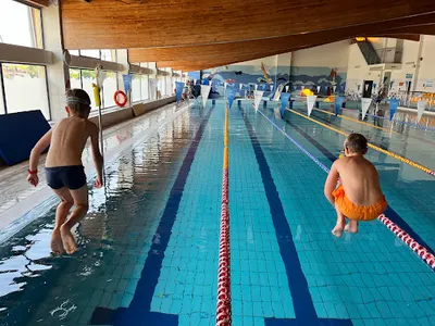 Swimdoktor - Indywidualna Nauka i Doskonalenie Pływania